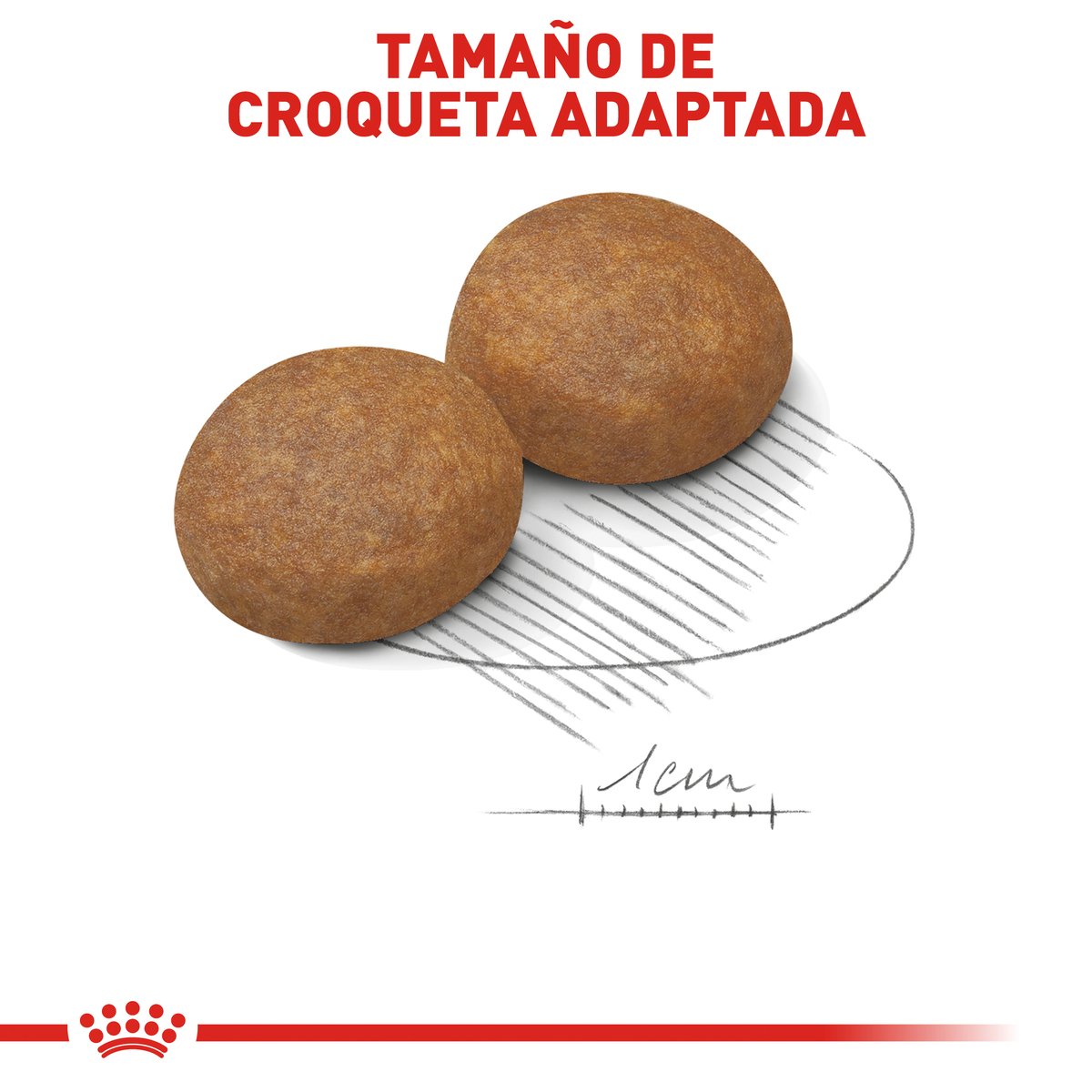 Alimento Royal Canin Adulto Mediano Para Perro (UNICAMENTE BAJO PEDIDO)