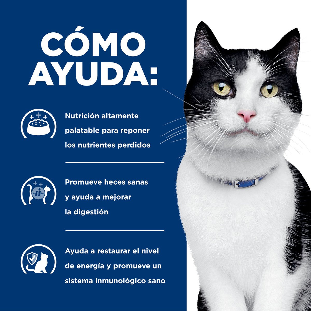Alimento Hill's Prescription Diet i/d Cuidado Digestivo Para Gato 1.8kg