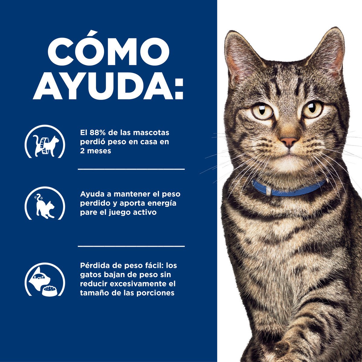 Alimento Hill's Prescription Diet Metabolic Para Gato