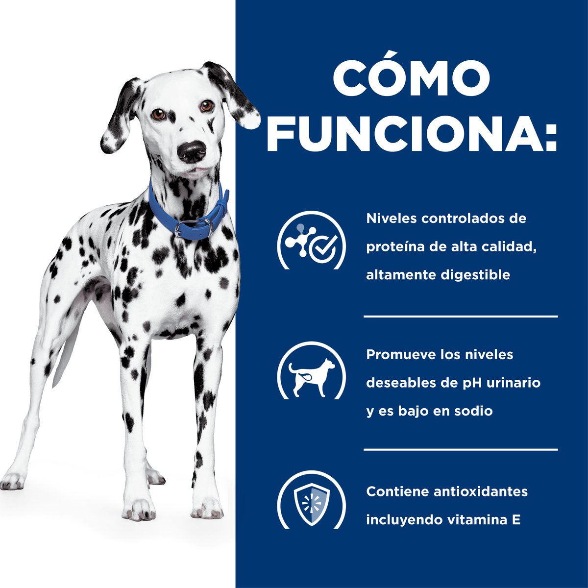 Alimento Hill's Prescription Diet u/d Cuidado Urinario Para Perro (BAJO PEDIDO UNICAMENTE)