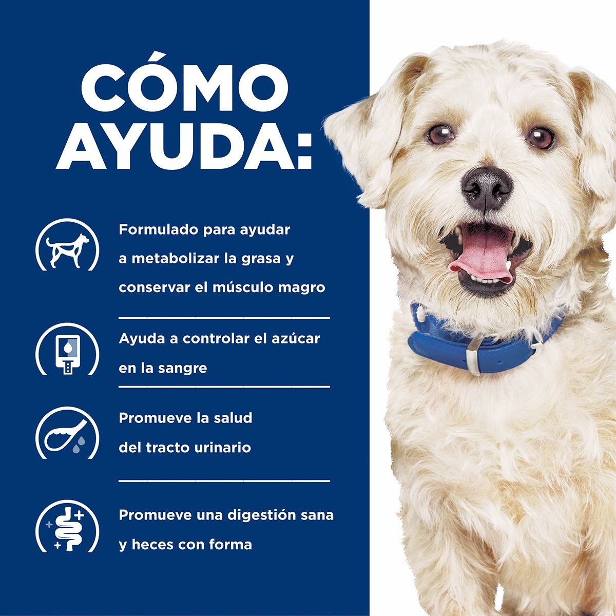 Alimento Hill's Prescription Diet w/d Multi-Beneficios Para Perro