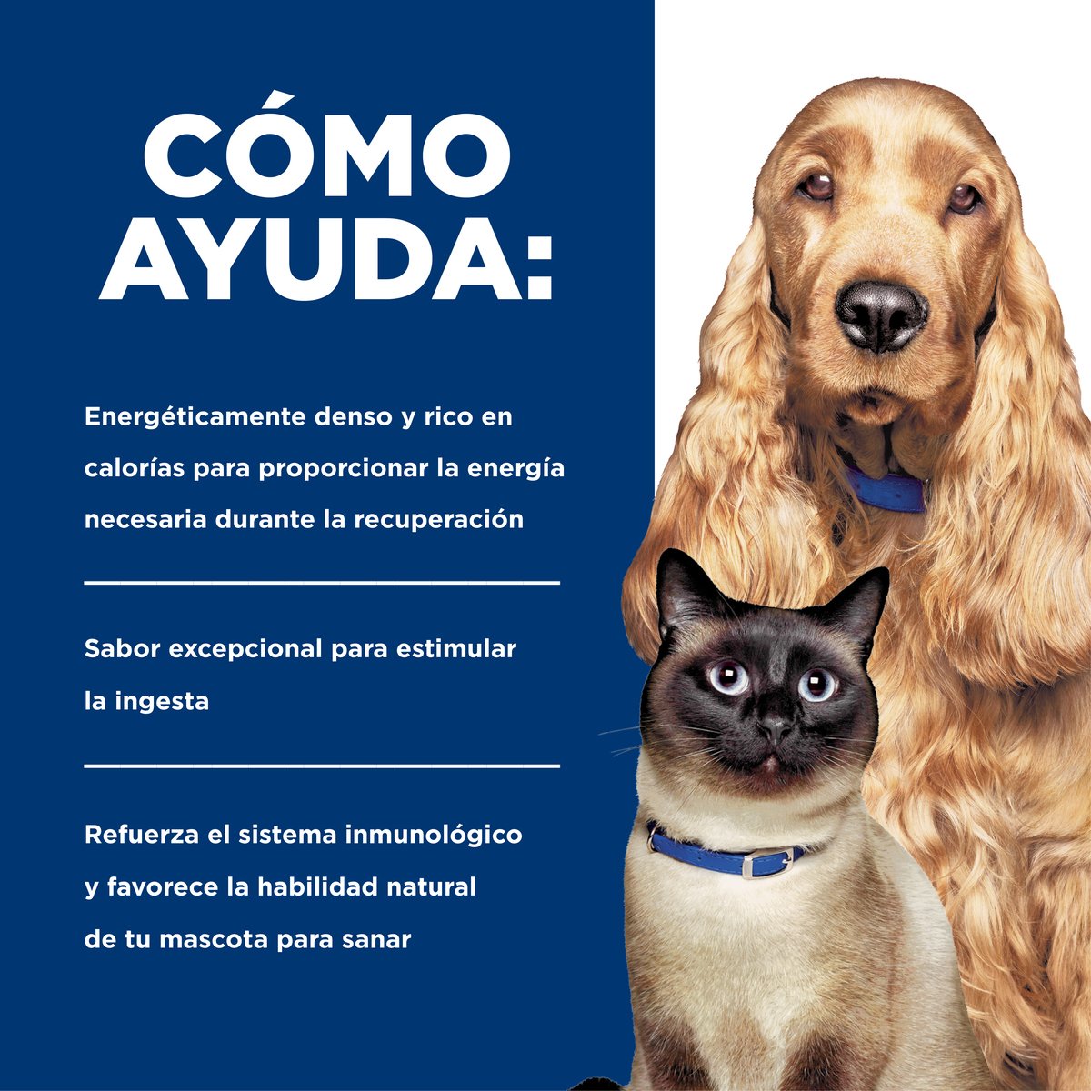 Hill's Prescription Diet a/d Cuidados Urgentes Lata 156g