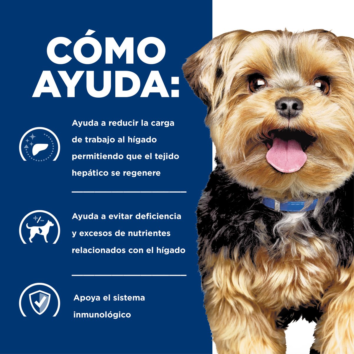 Alimento Hill's Prescription Diet l/d Cuidado del Hígado Para Perro 8kg