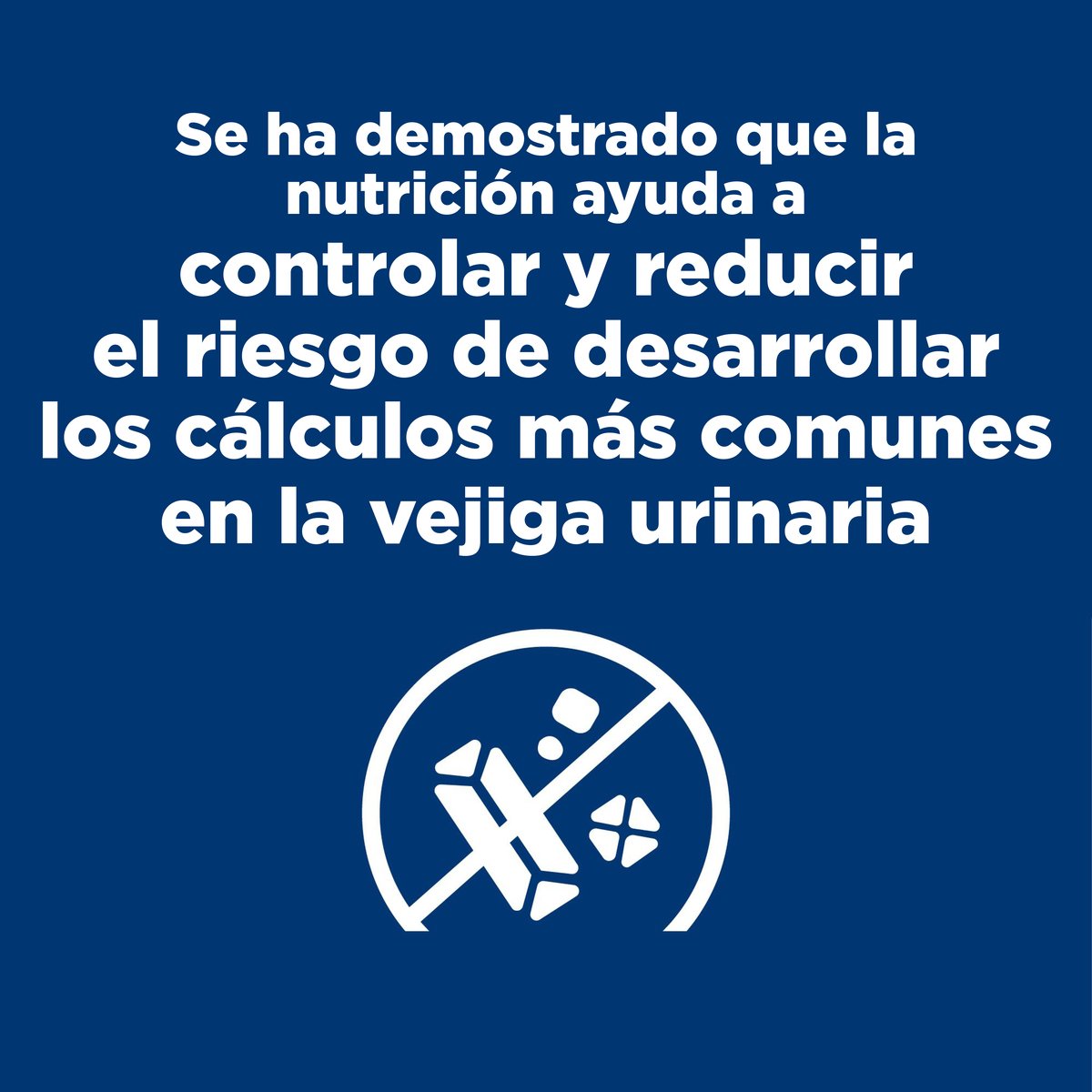 Alimento Hill's Prescription Diet c/d Cuidado Urinario Para Perro