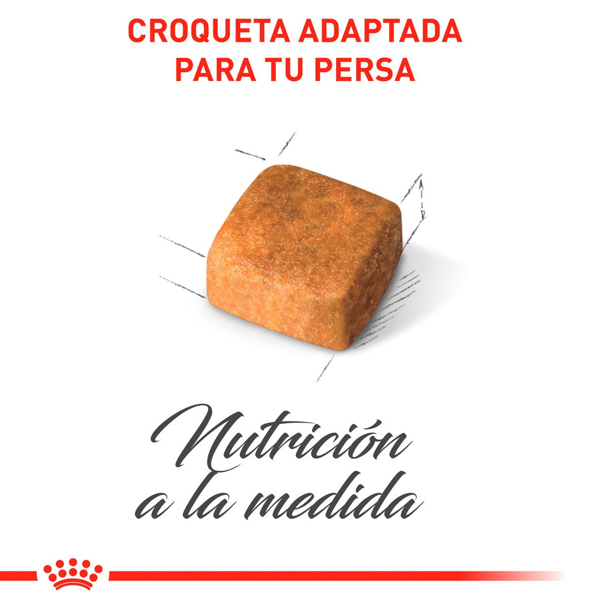 Alimento Royal Canin Persan Kitten 1.3kg