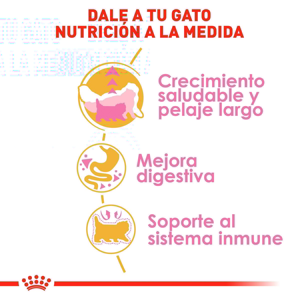 Alimento Royal Canin Persan Kitten 1.3kg