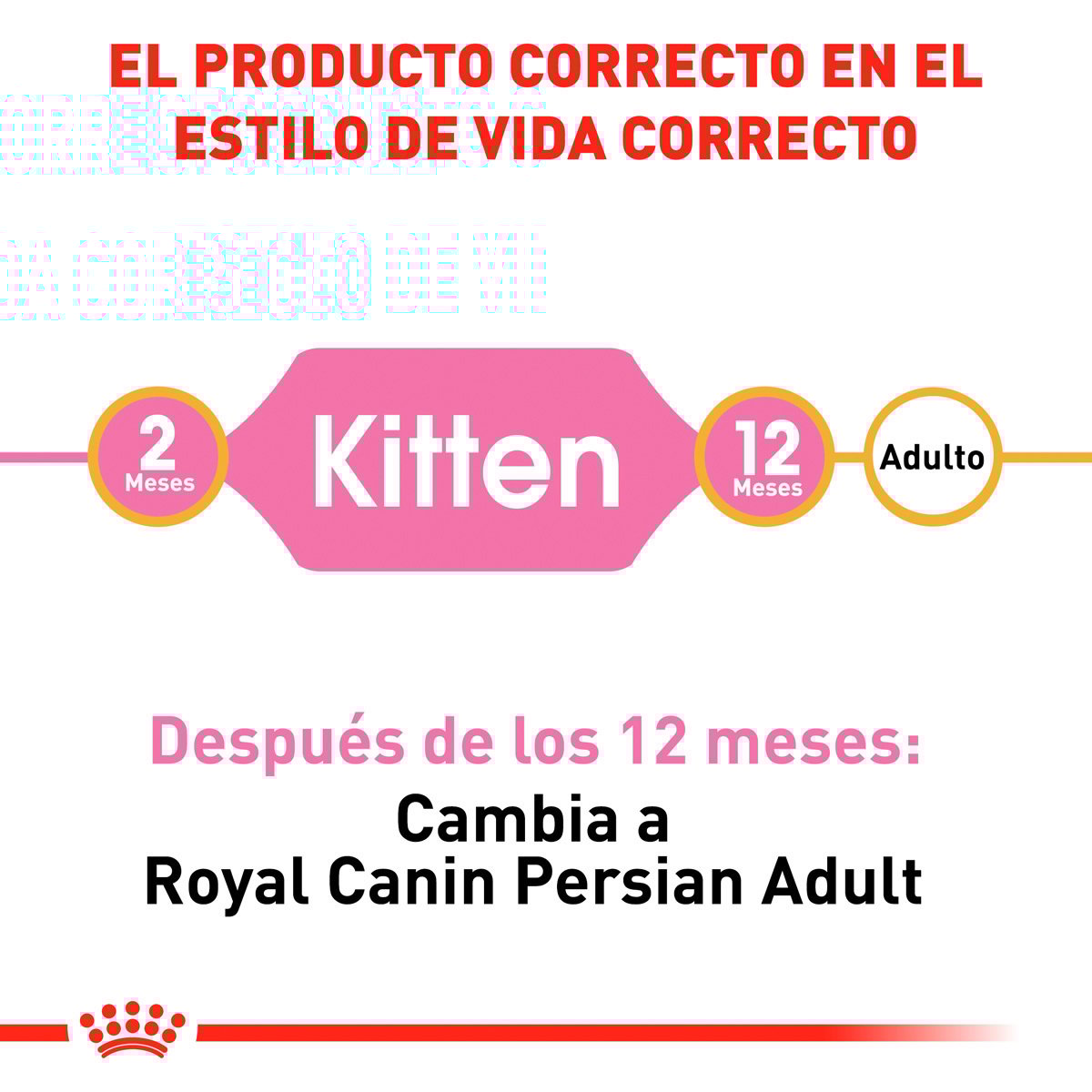 Alimento Royal Canin Persan Kitten 1.3kg