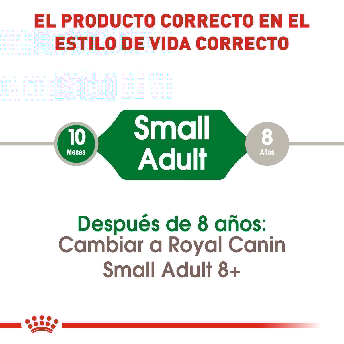 Alimento Royal Canin Adulto Razas Pequeñas