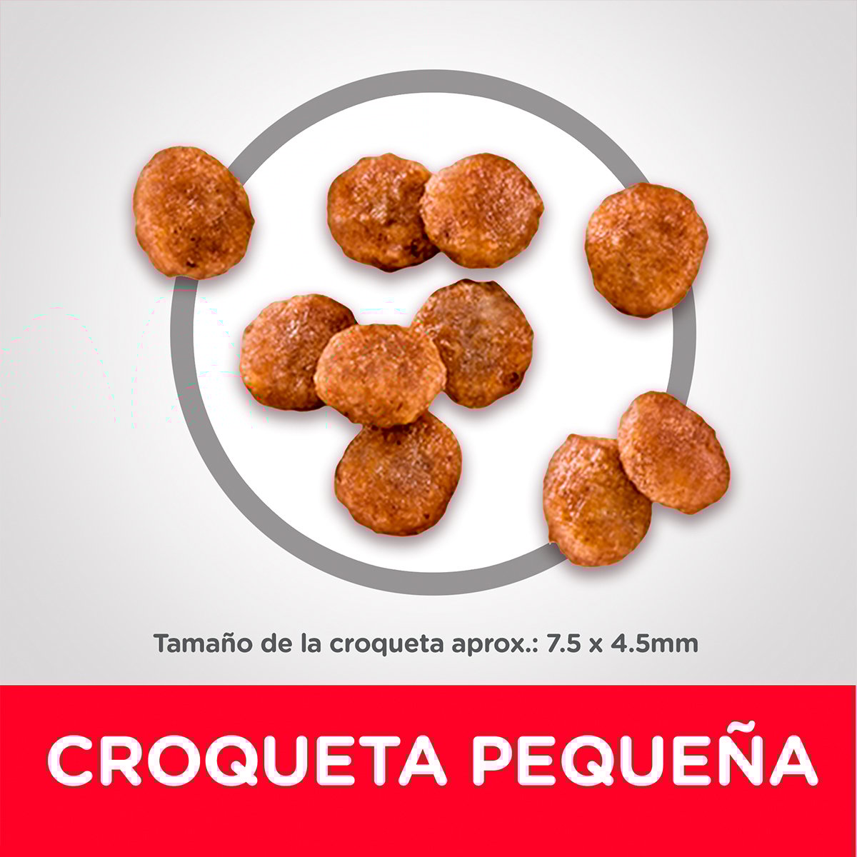 Alimento P/Perro Adulto Small Paws