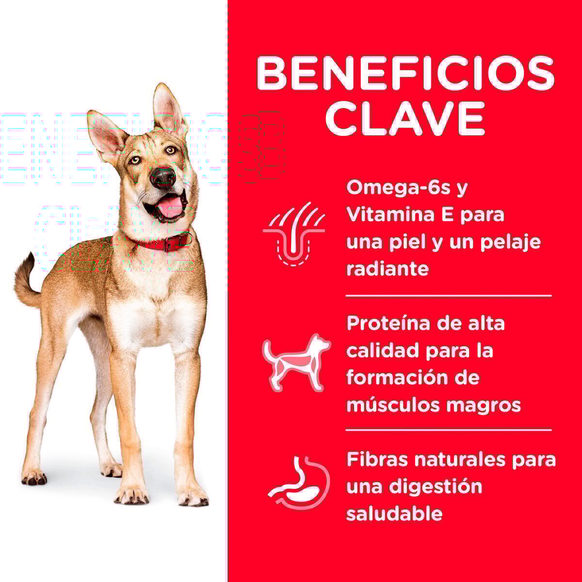 Alimento Hill's Science Diet Original Adulto Cordero y Arroz Para Perro 15kg