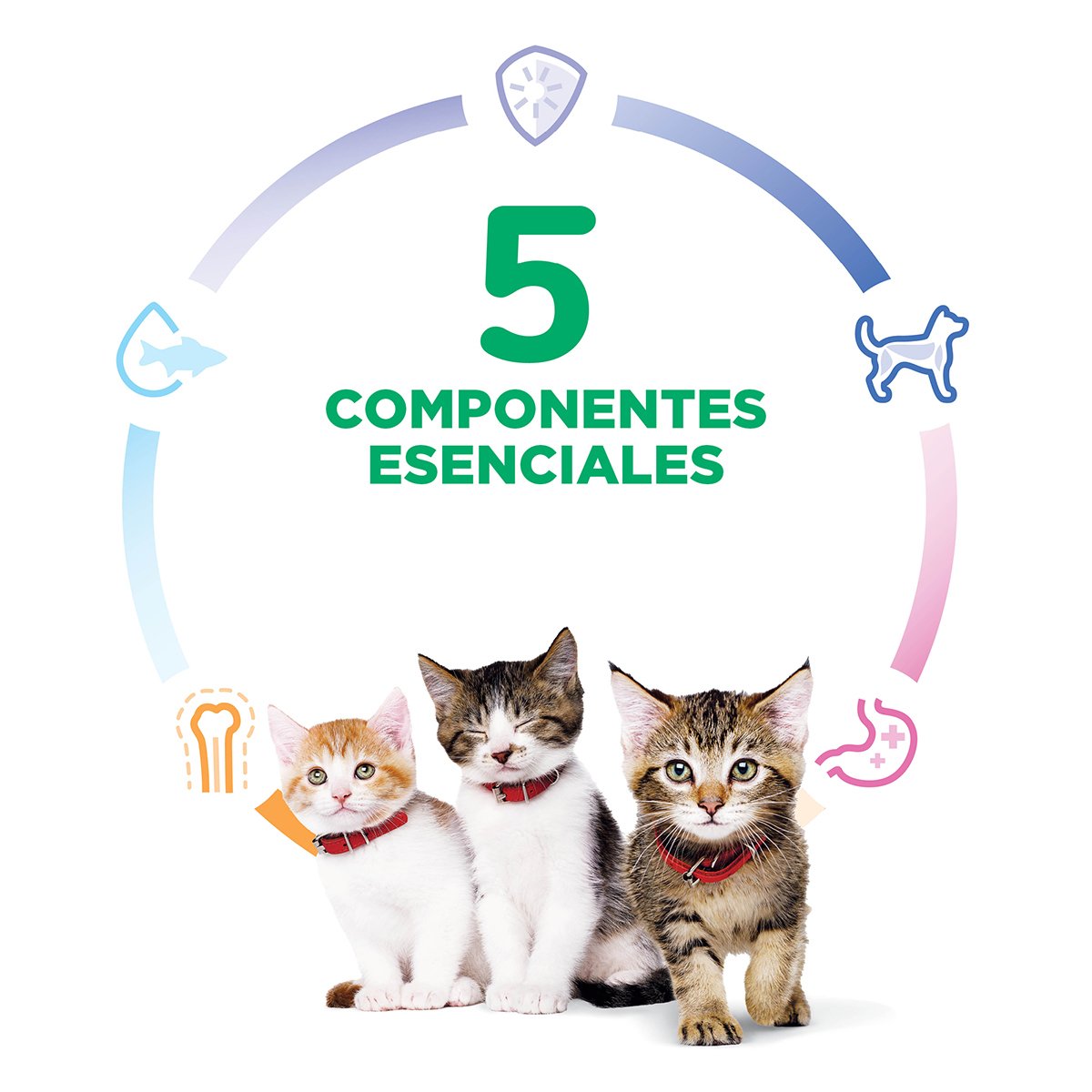 Alimento Hill's Science Diet Original Para Gatito 3.2kg