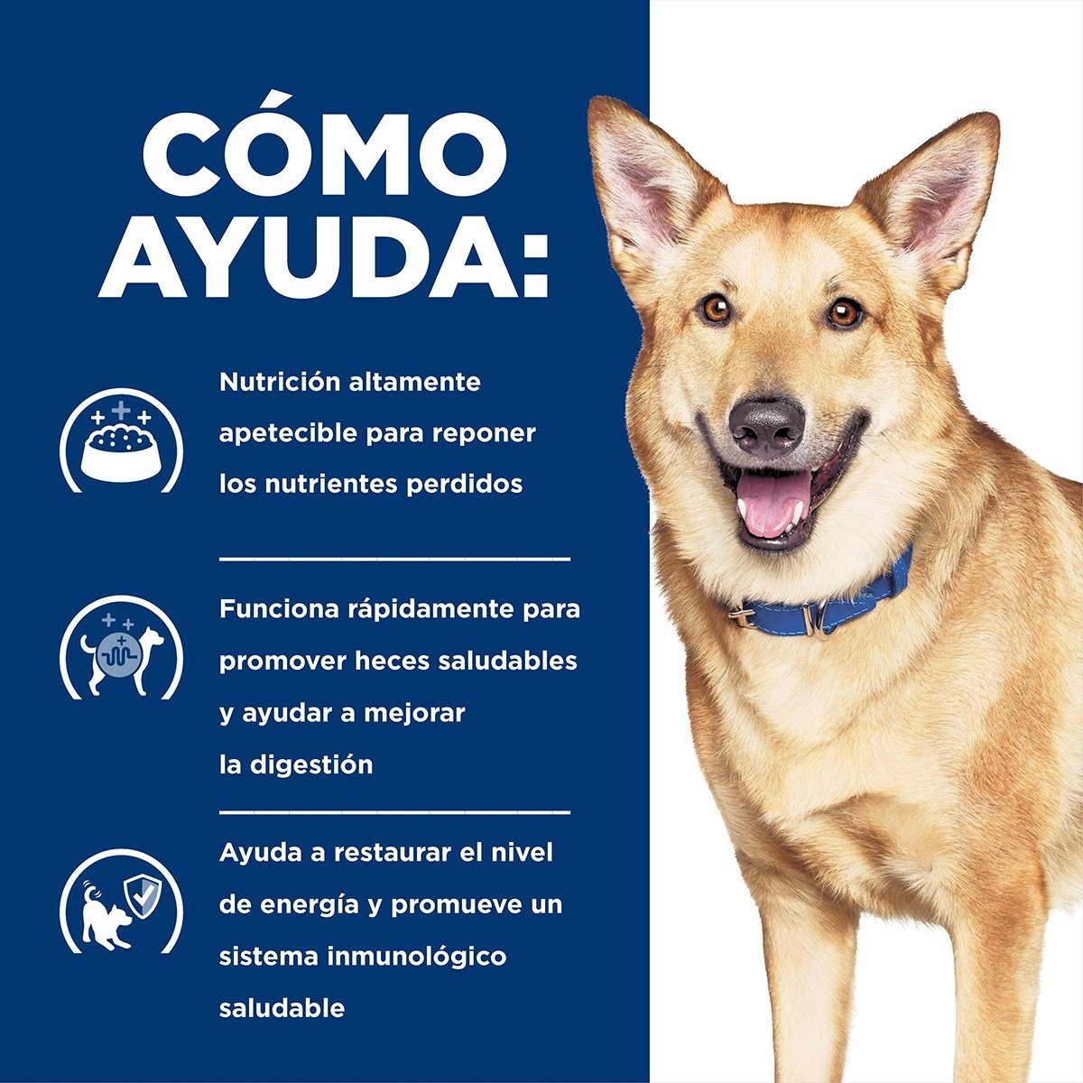 Prescription Diet i/d Cuidado Digestivo Pavo Para Perro Lata 370g