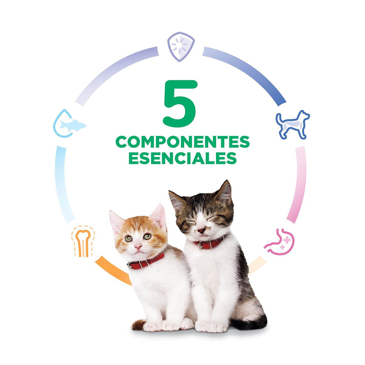 Alimento Hill's Science Diet Original Gatito Lata 156g