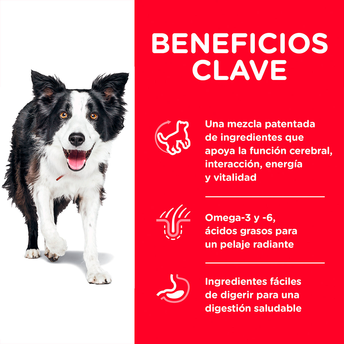 Alimento Hill's Science Diet Senior Vitality Para Perro 5.7kg