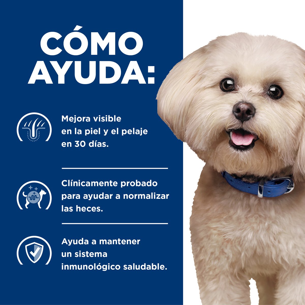 Hill's Prescription Diet z/d Food Sentivities Alimento Seco Alergias Alimentarias para Perro Adulto Raza Pequeña
