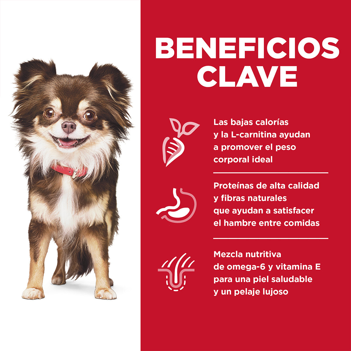 Hill's Science Diet Small & Mini Alimento Piel y Estómago Sensibles Perro Raza Miniatura 6.8 kg (UNICAMENTE BAJO PEDIDO)