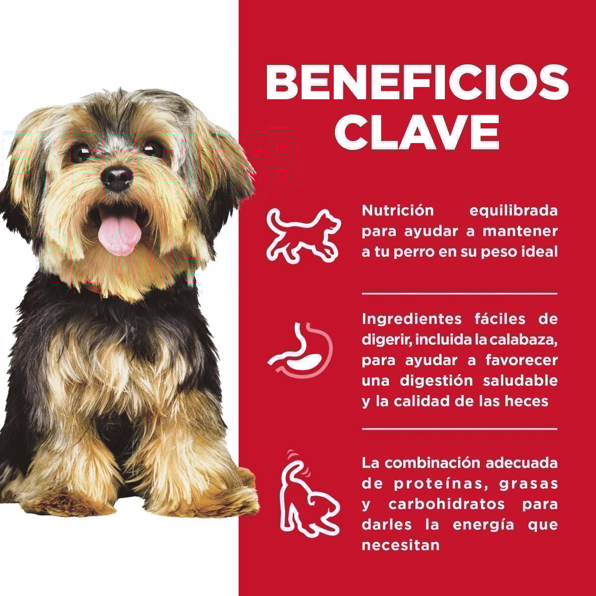 Hill's Science Diet Small & Mini Alimento Húmedo para Perro Adulto Raza Pequeña y Mini Receta Pollo, 99 g