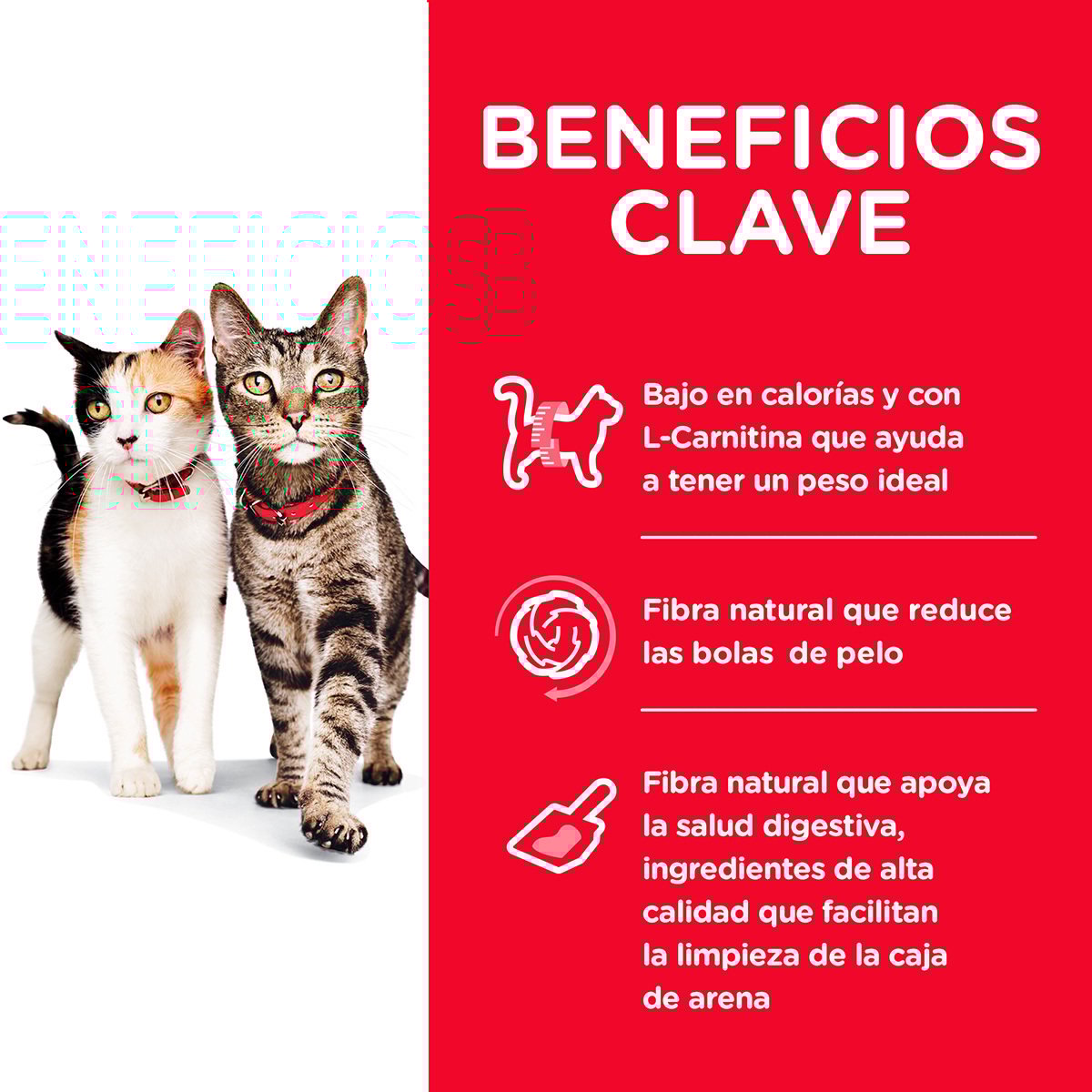 Alimento Hill's Science Diet Original Adulto Multi Beneficios Para Gato (UNICAMENTE BAJO PEDIDO)