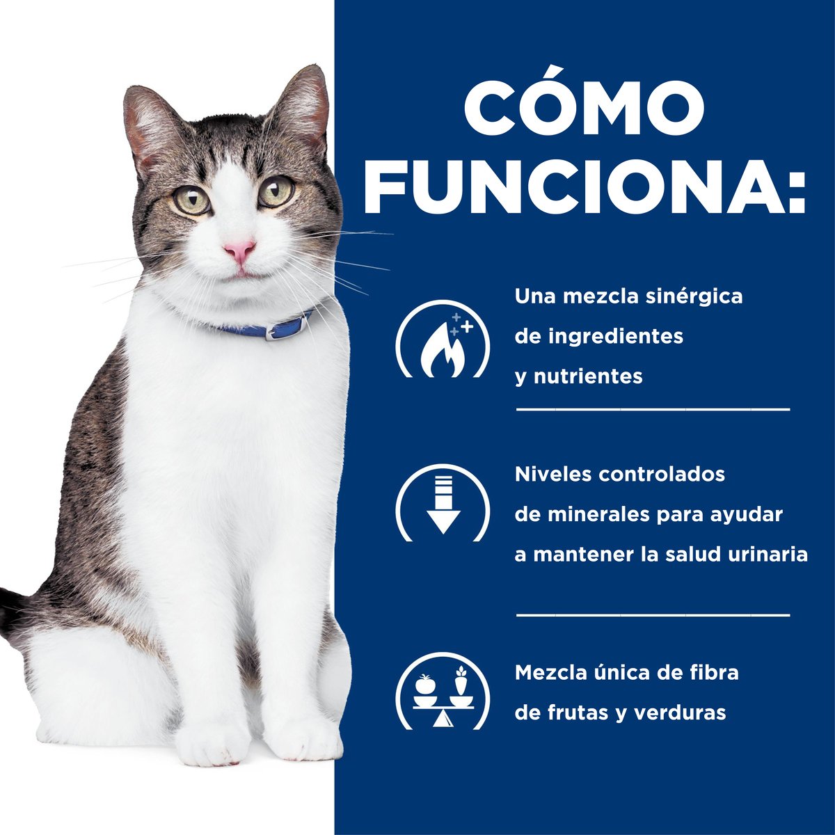 Alimento Hill's Prescription Diet Metabolic + Urinary Para Gato 2.9kg