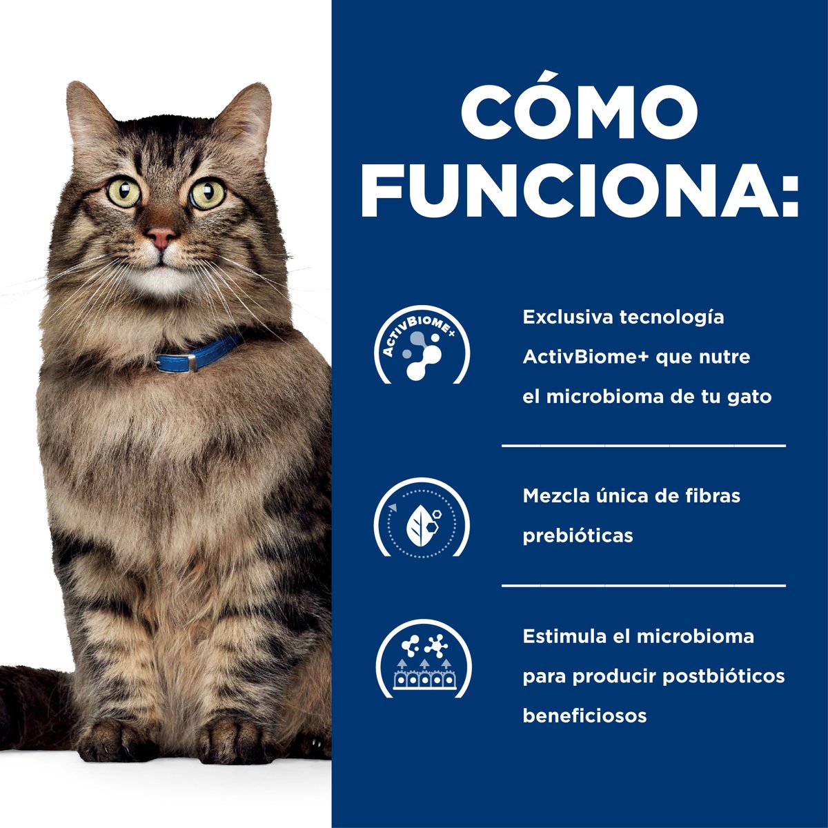Hill's Prescription Diet Gastrointestinal Biome Para Gato Lata 82g