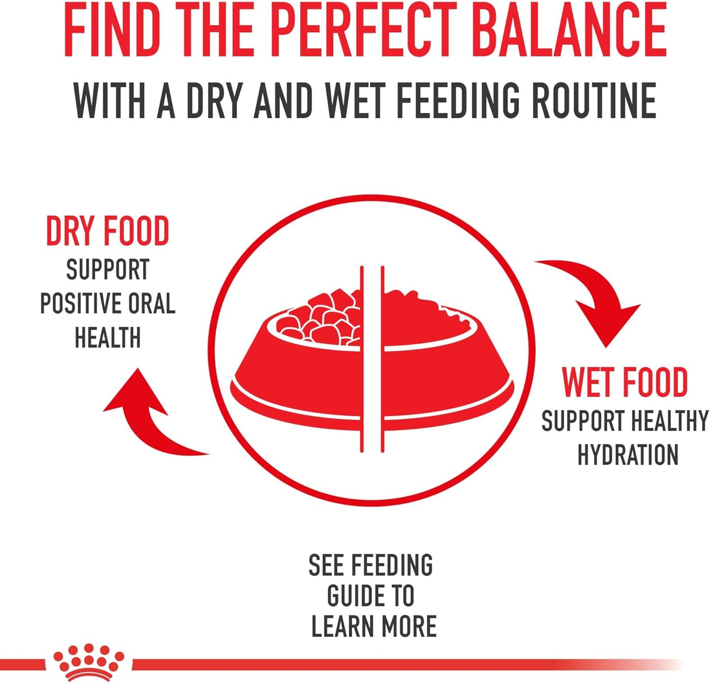 Royal Canin Croquetas para Perros Pequeños, Mini Mature +8, 1.1 kg