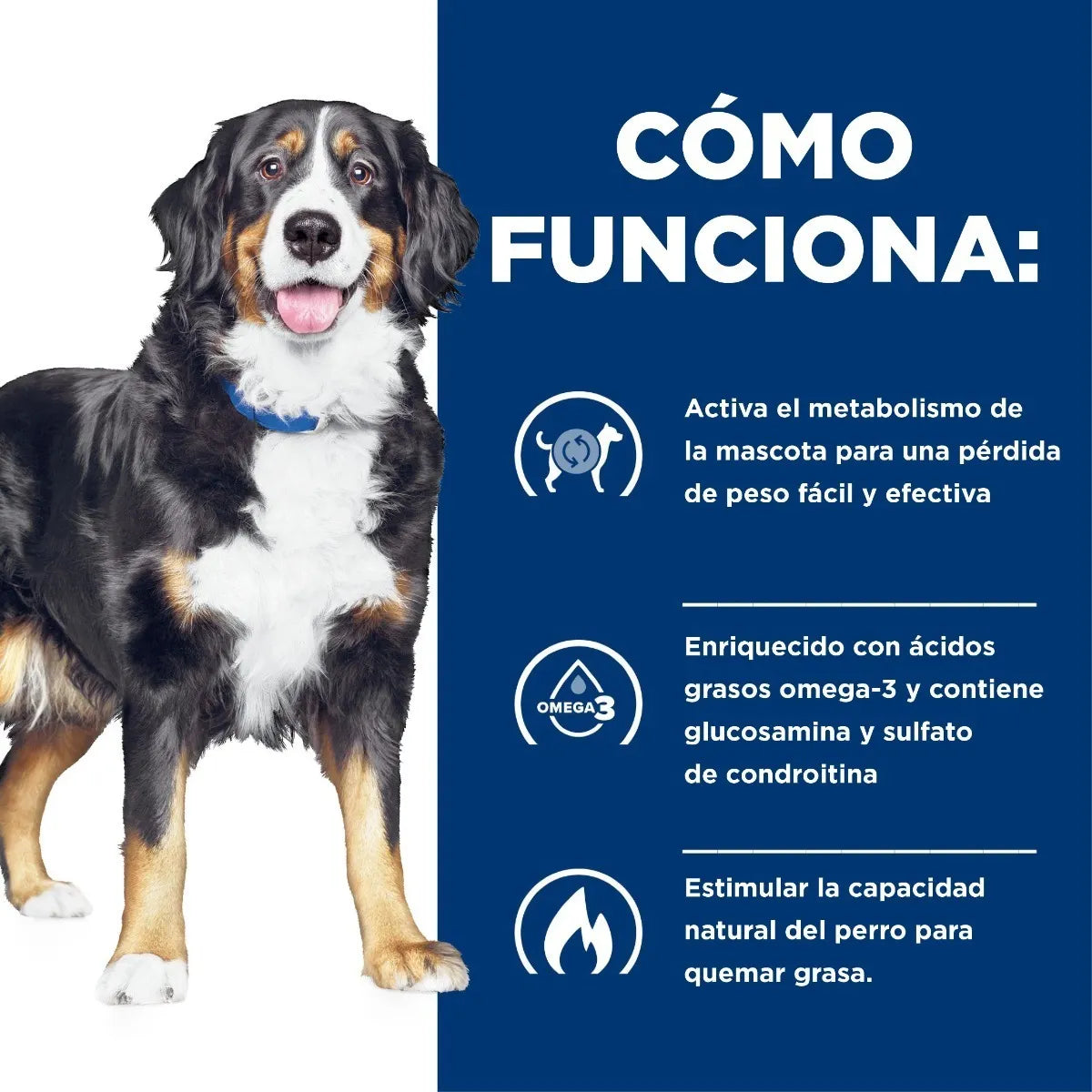 Alimento Hill's Prescription Diet Metabolic + Mobility Para Perro