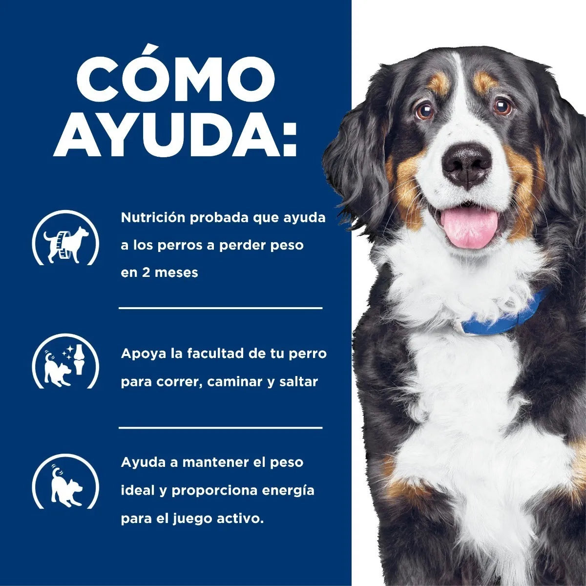Alimento Hill's Prescription Diet Metabolic + Mobility Para Perro