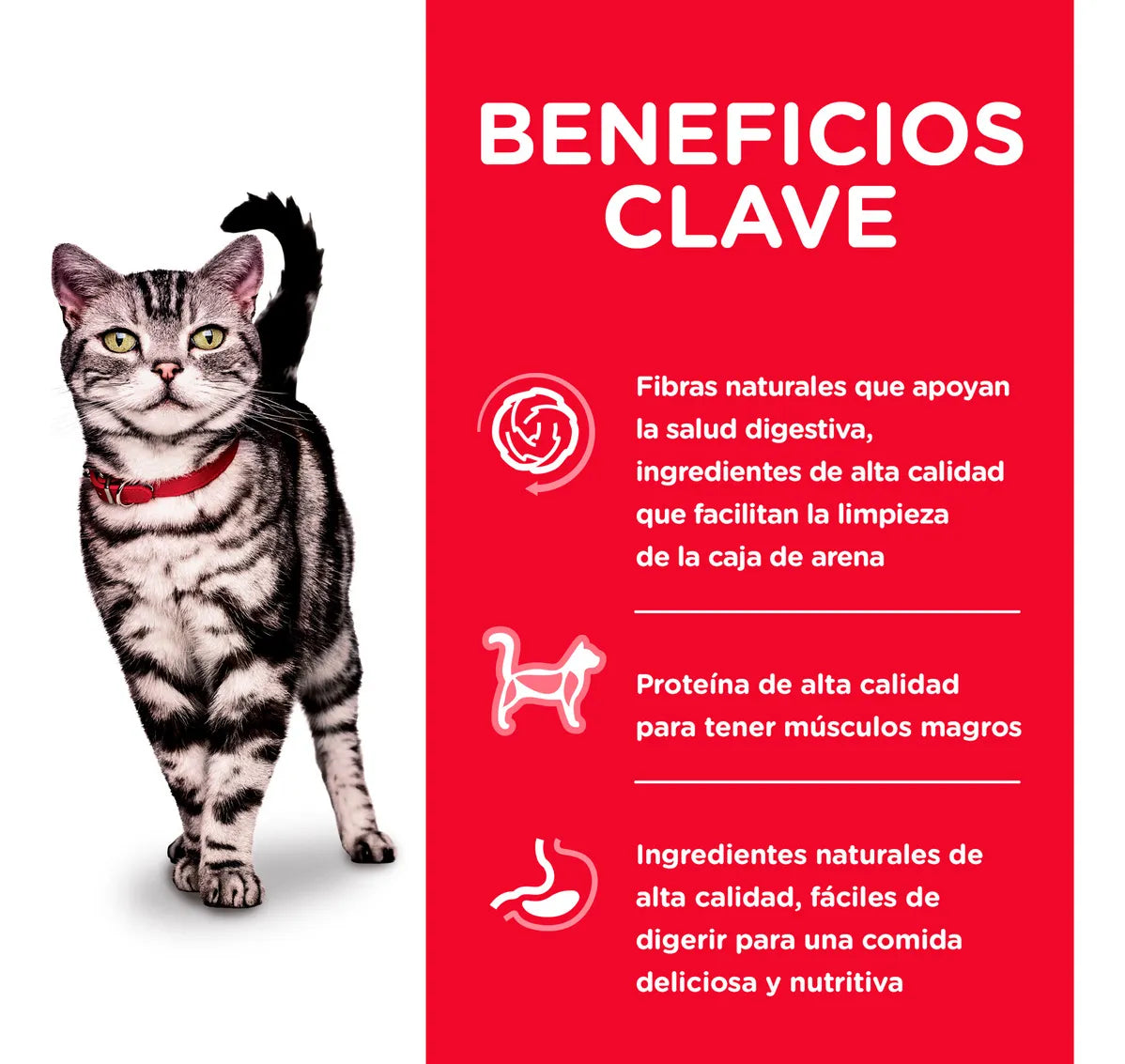 Alimento Hill's Science Diet Indoor Adulto Para Gato