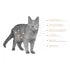 Nupec Alimento Digestive Health Para Gato 1.5kg