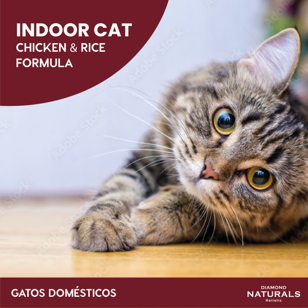 Alimento Diamond Naturals Indoor Para Gato