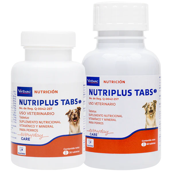 Nutriplus 60 TABS