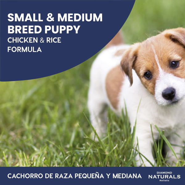 Alimento Diamond Naturals Cachorro Pollo y Arroz Para Perro Razas Pequeñas (UNICAMENTE BAJO PEDIDO)