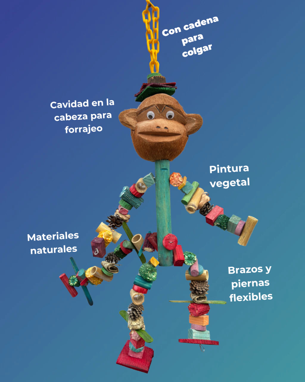 Mico changuito
