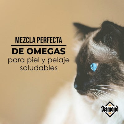 Alimento Diamond Premium Mantenimiento Para Gato