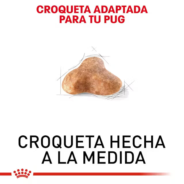 Alimento Royal Canin BHN Pug Adulto