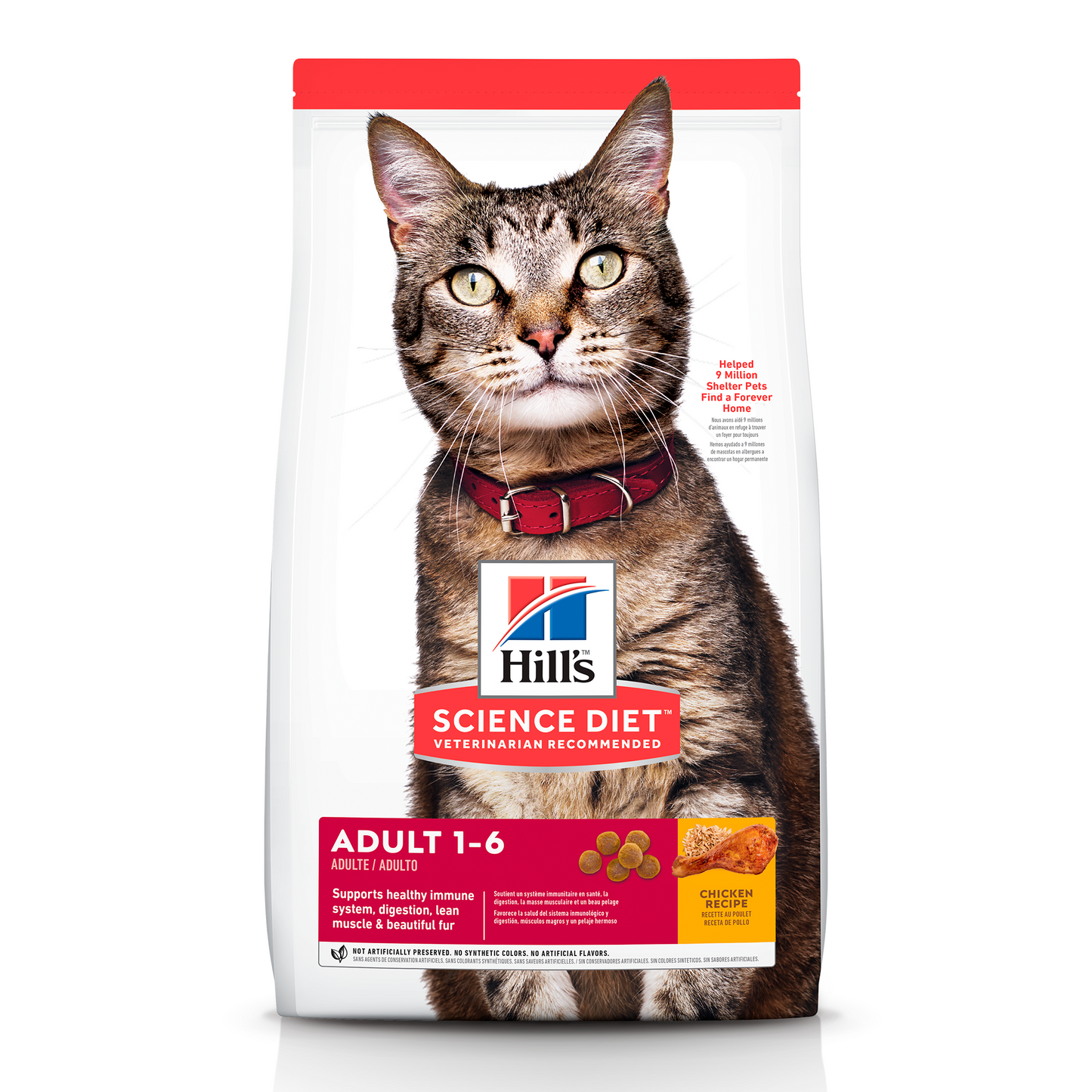 Alimento Hill's Science Diet Original Adulto Para Gato