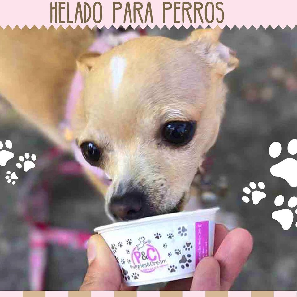 Helado Puppies&Cream Coco 30g