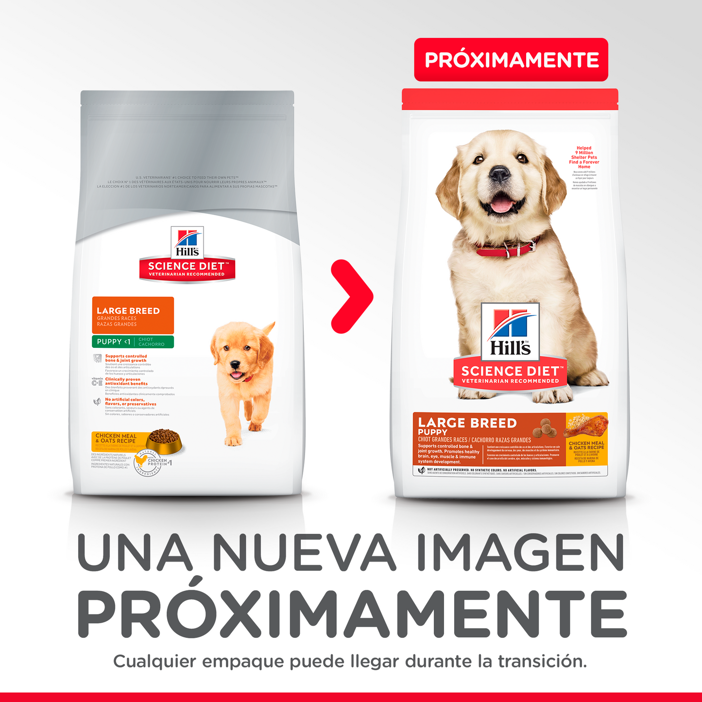Alimento Hill's Science Diet Puppy Large Breed (UNICAMENTE BAJO PEDIDO)