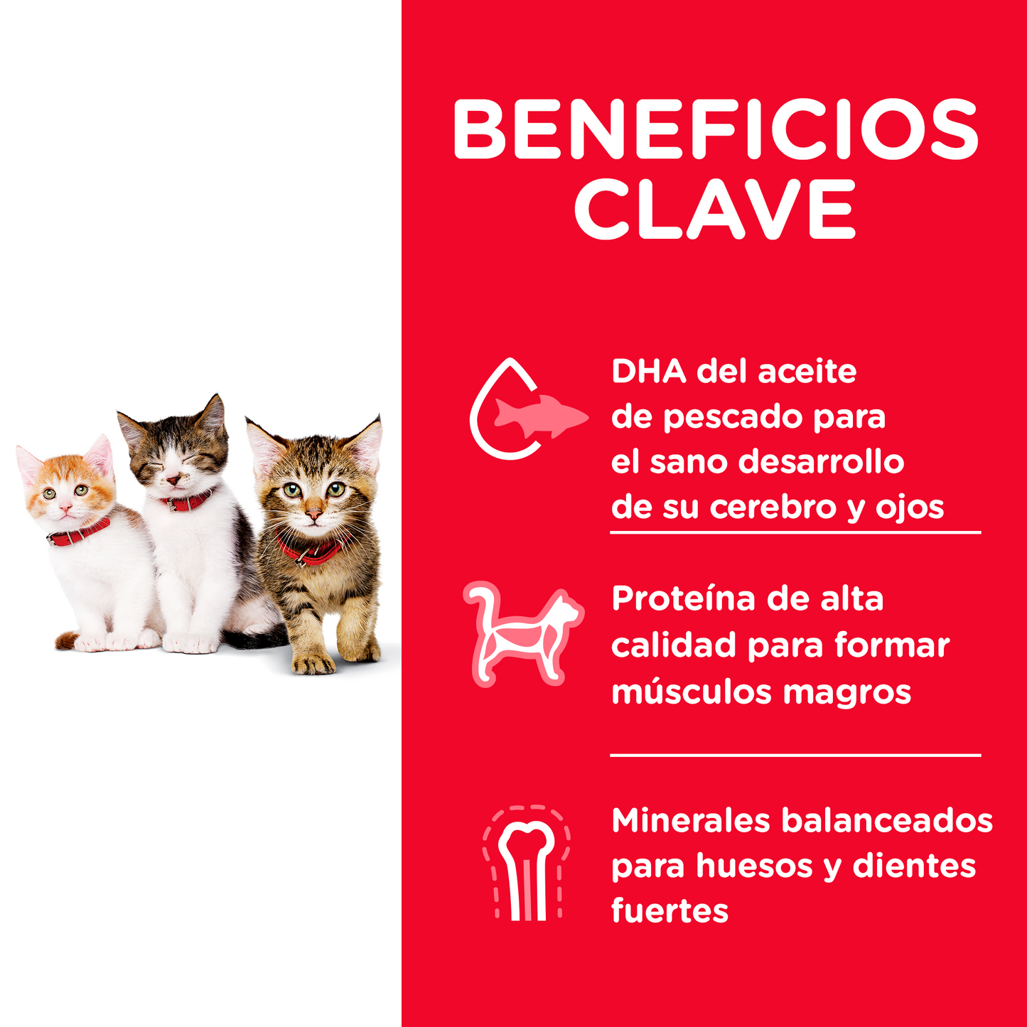 Alimento Hill's Science Diet Original Para Gatito