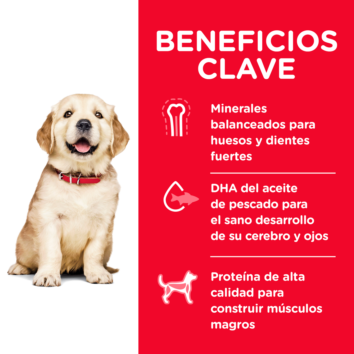 Alimento Hill's Science Diet Puppy Large Breed (UNICAMENTE BAJO PEDIDO)