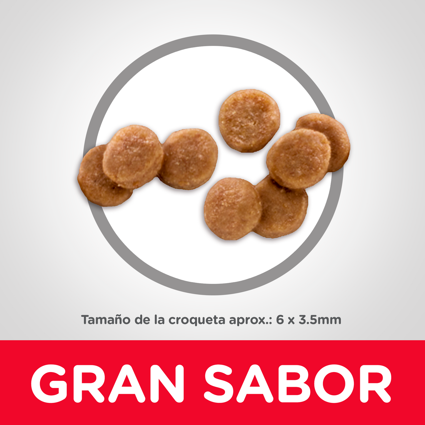 Alimento Hill's Science Diet Original Para Gatito