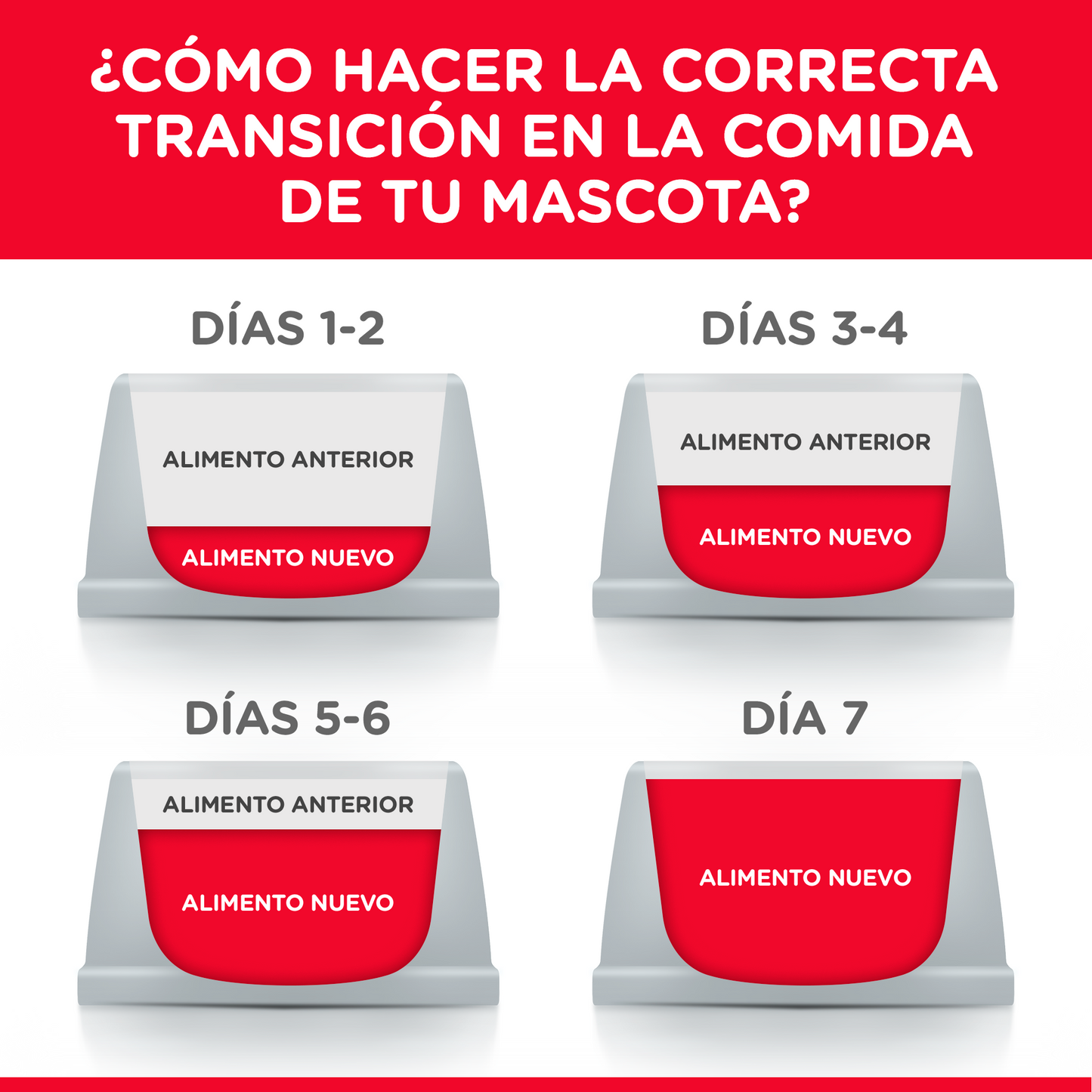 Alimento Hill's Science Diet Original Para Gatito
