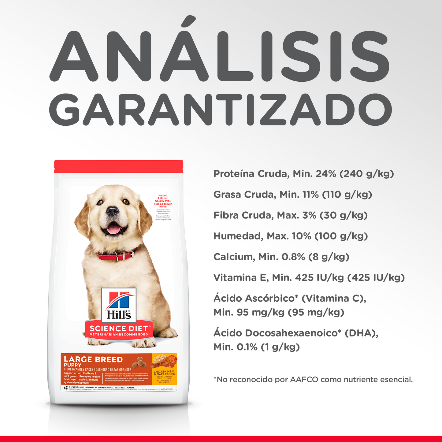 Alimento Hill's Science Diet Puppy Large Breed (UNICAMENTE BAJO PEDIDO)