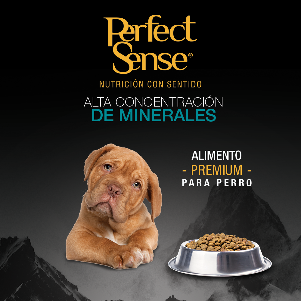 Alimento Perfect Sense Cachorro Raza Mediana y Grande 3 Kg