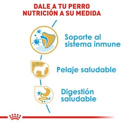 Alimento Royal Canin BHN Yorkshire Terrier Puppy 1.13kg
