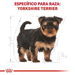 Alimento Royal Canin BHN Yorkshire Terrier Puppy 1.13kg