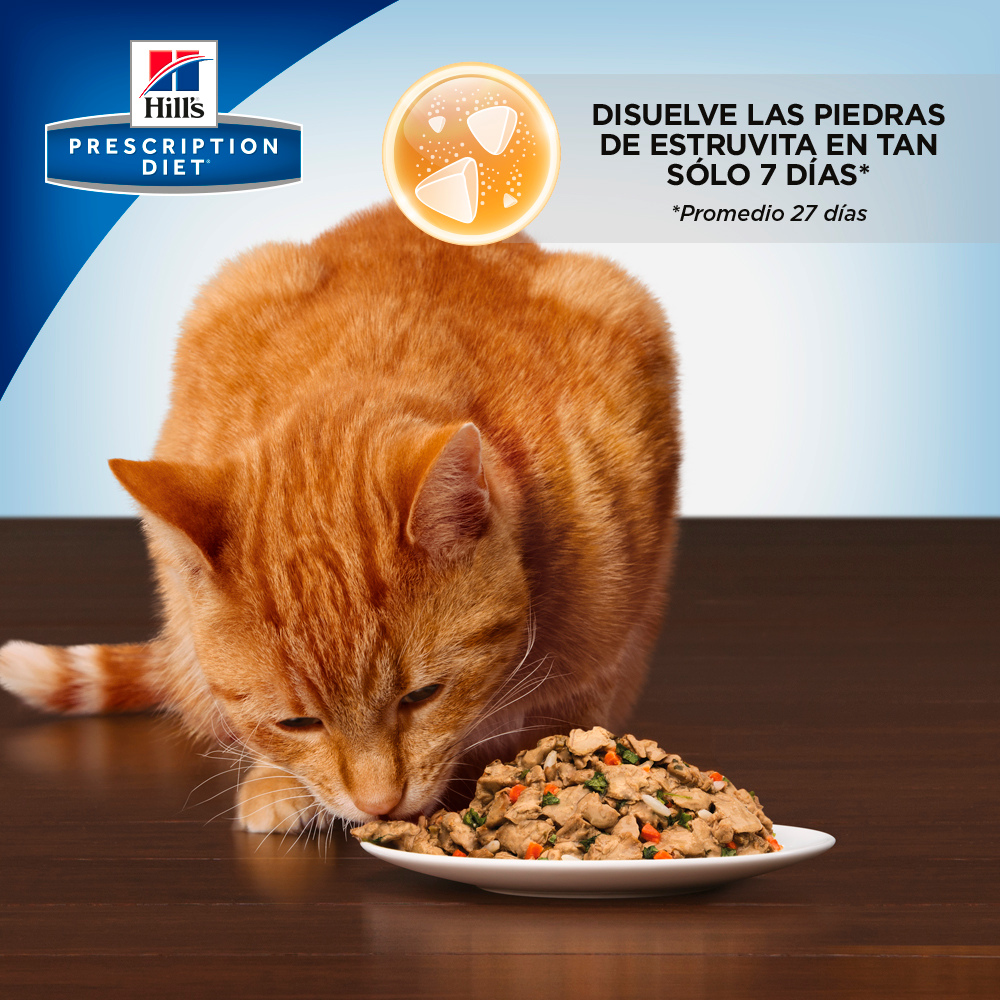 Hill's Prescription Diet c/d Cuidado Urinario Para Gato Lata 156g