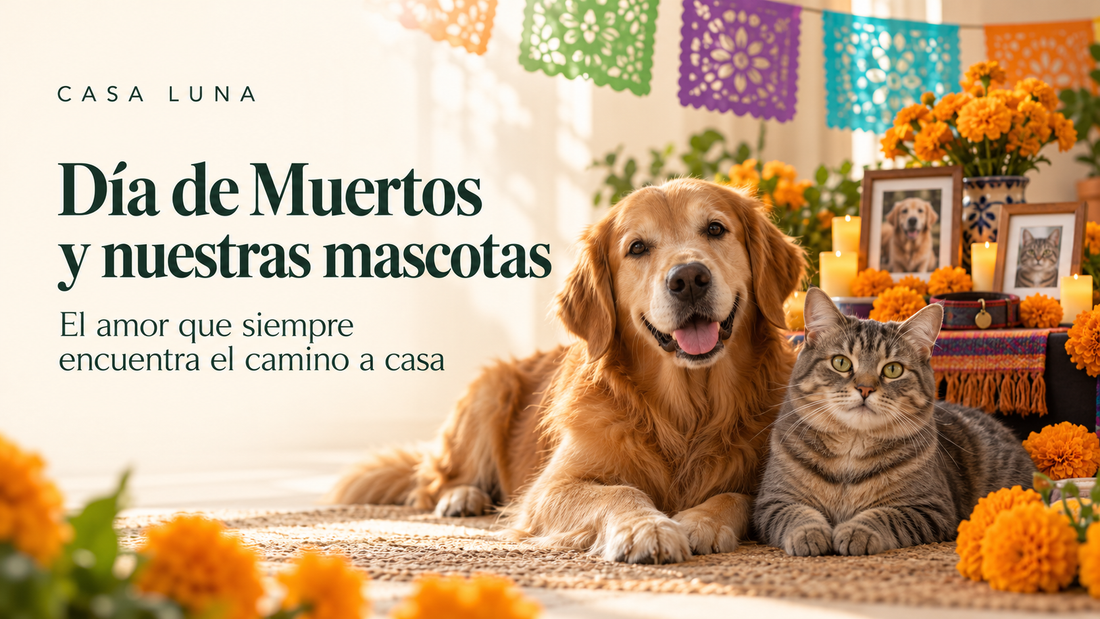 Día de Muertos y mascotas: el amor que siempre encuentra el camino a casa