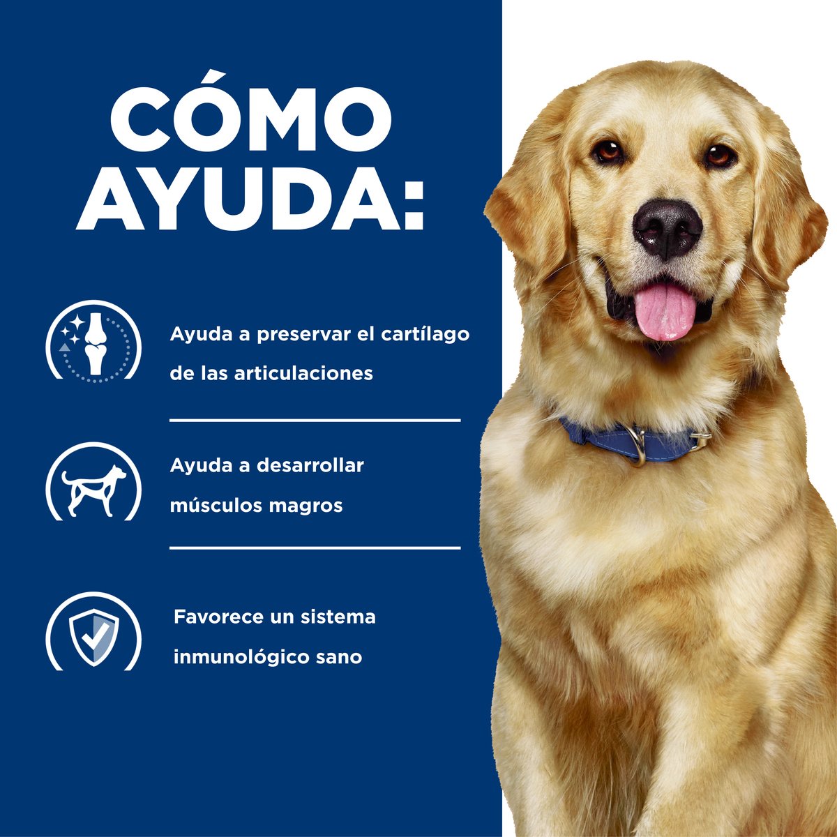 Alimento Hill's Prescription Diet j/d Cuidado Articulaciones Para Perro