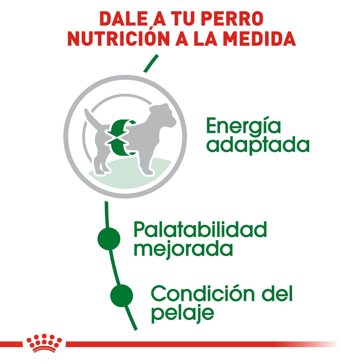 Alimento Royal Canin Adulto Razas Pequeñas